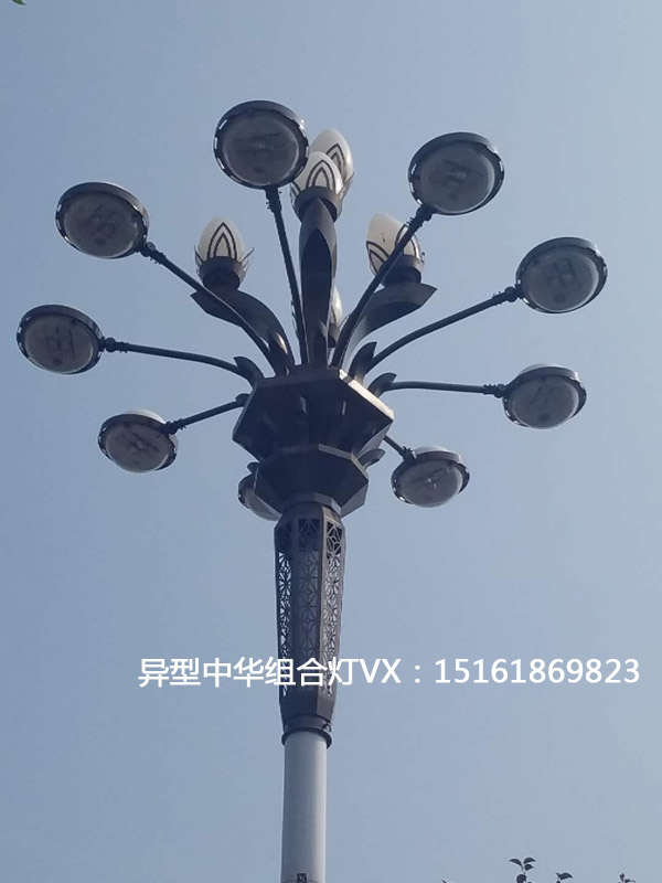 8米异型中华组合灯