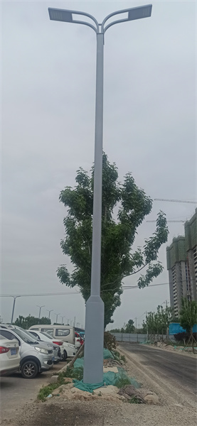 市政道路双臂路灯