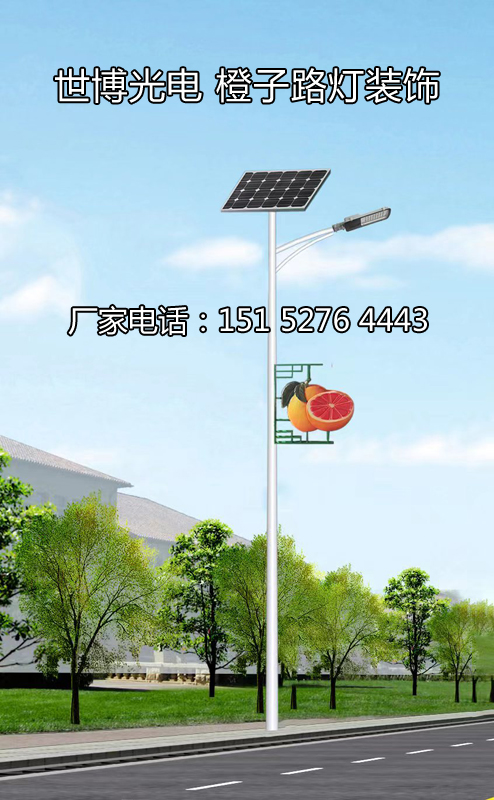 世博光电橙子路灯装饰灯_设计生产定制15152764443